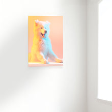 Load image into Gallery viewer, Print on Acrylic
